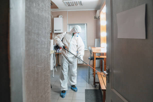 Best Asbestos and Lead Testing During Mold Inspection  in Benson, AZ