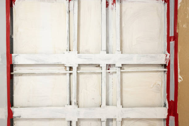 Best Post-Construction Mold Inspection  in Benson, AZ