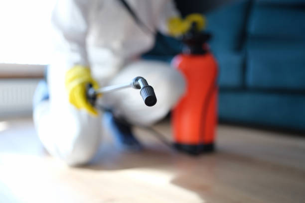 Best Residential Mold Inspection & Testing  in Benson, AZ
